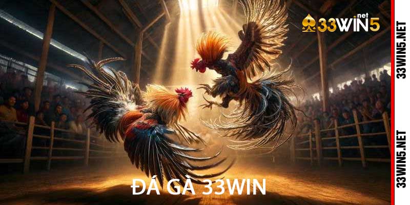 đá gà 33win